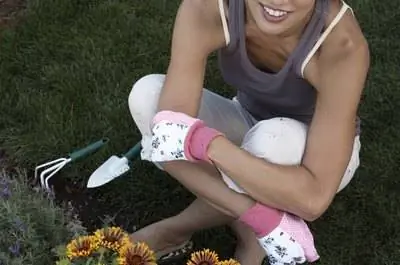 График пересадки многолетних растений в зоне 5