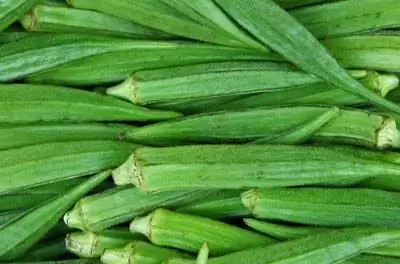 Какие овощи лучше всего растут в Северной Каролине?