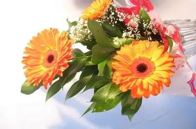 Как сохранить цветы в вазе живыми