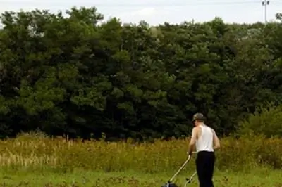 Борьба с сорняками в Баии & Floratam Grasses