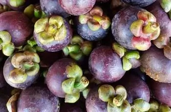 Крупный план кучи спелых мангустанов (Garcinia mangostana) на Филиппинах.