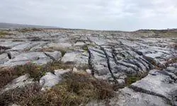 При выборе известняка важно иметь в виду его рейтинг. Известняк с более низким рейтингом не выдержит плохой погоды.