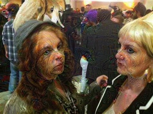 Как работает Google Deep Dream