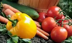 10 овощей, которые труднее всего выращивать и содержать