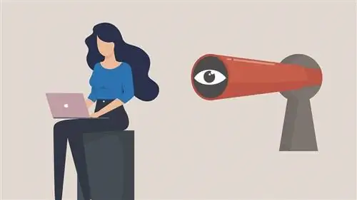 иллюстрация женщины за ноутбуком, за которой следует большой глаз