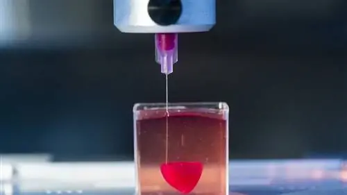 3-D человеческое сердце