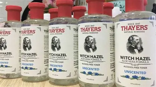 Гамамелис Thayers