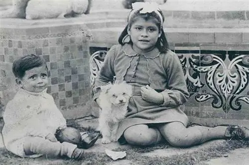Лина Медина, Херардо Лина Медина, Херардо