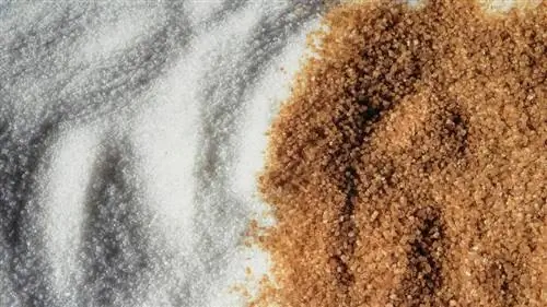 белый и коричневый сахар