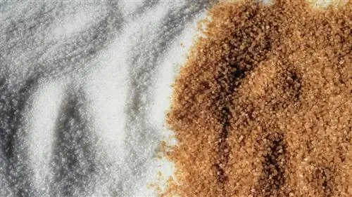 В чем разница между белым сахаром и коричневым сахаром?