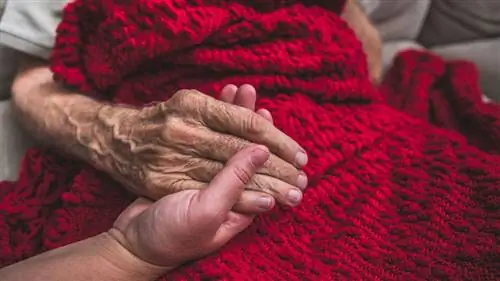 Медсестра хосписа посещает пожилого пациента мужского пола Медсестра хосписа посещает пожилого пациента мужского пола