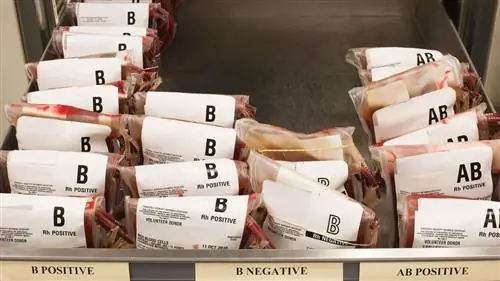 Какая группа крови самая редкая в мире?