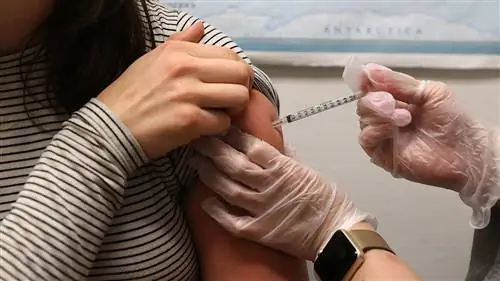 Почему так сложно сделать универсальную вакцину против гриппа?