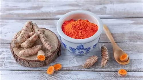 6 противовоспалительных продуктов, которые вы должны есть