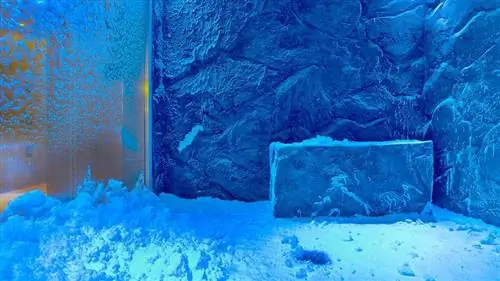 снежный грот