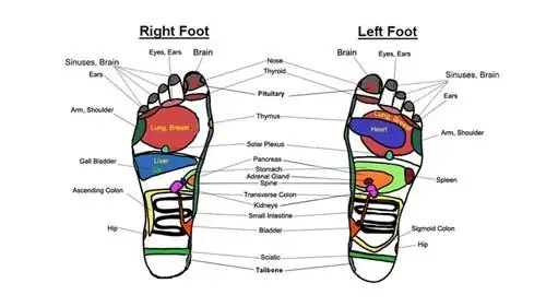 карта рефлексологии