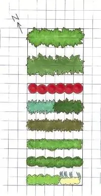 Проектирование огорода