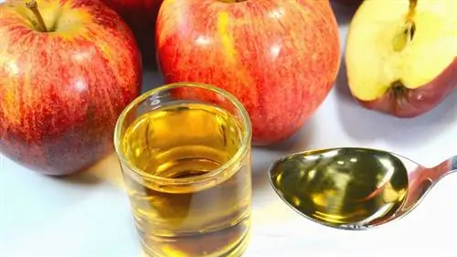 яблочный уксус