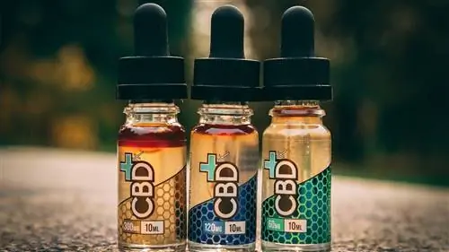 Масло CBD: что стоит за шумихой?