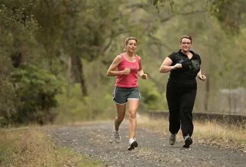 10 вещей, которые влияют на ваш вес помимо еды и физических упражнений