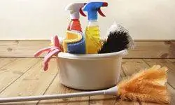 Почему мы традиционно проводим генеральную уборку весной?