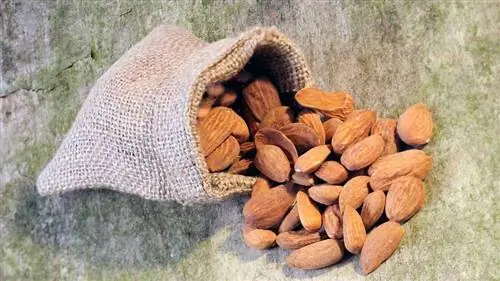 Горький миндаль