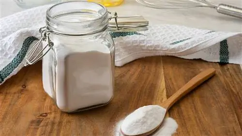 Использование пищевой соды: очистка кухни