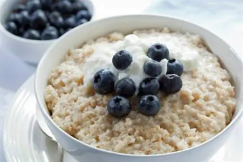 Овсяная каша
