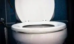 туалет с двойным смывом