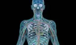 5 редких неврологических заболеваний