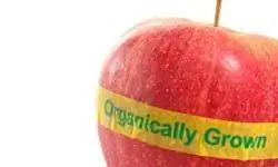 органическая еда