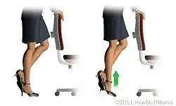 Теленок поднимается.