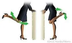 Подъемы и махи ногами.