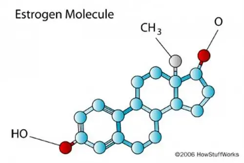10 вещей, которые мужчины должны знать о женских гормонах