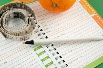 пищевой журнал