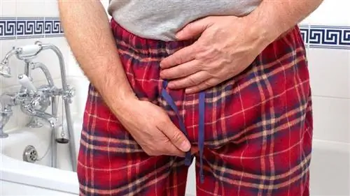 боль в яичках