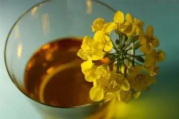 Что такое масло канолы?
