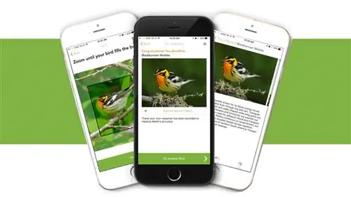 Что это за птица? Приложение Merlin Bird ID может рассказать вам