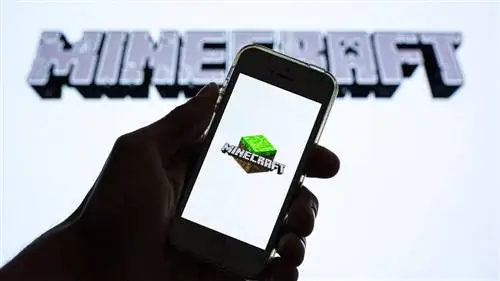 Сможете ли вы выжить в нашей викторине Minecraft?