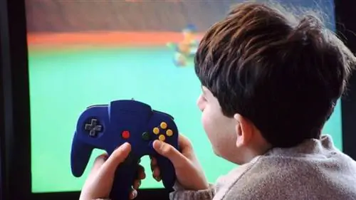 Мальчик, играющий в игру Nintendo.