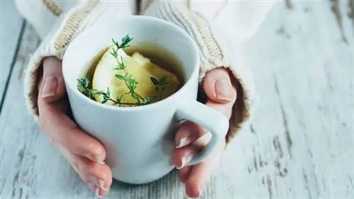 чашка чая с лимоном и тимьяном