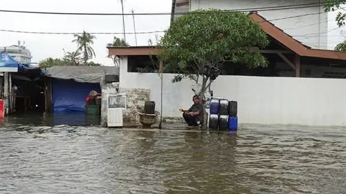 тонущие города