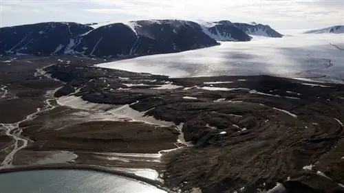 арктическая пустыня