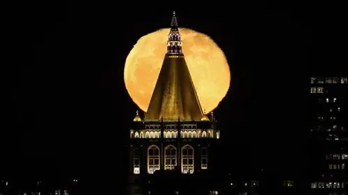 розовая луна