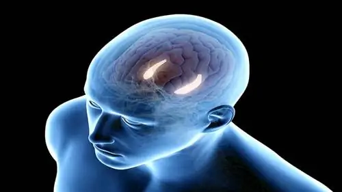 воображение