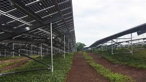 агровольтаика