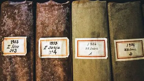 плесень на книгах