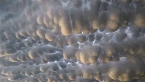 Облака Mammatus похожи на пушистую пузырчатую пленку в небе