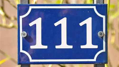 число ангелов 111