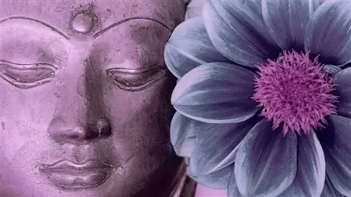 Как дзен-коаны открывают (безвратные) врата просветления